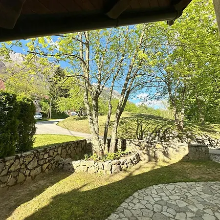 Albatros Holiday home