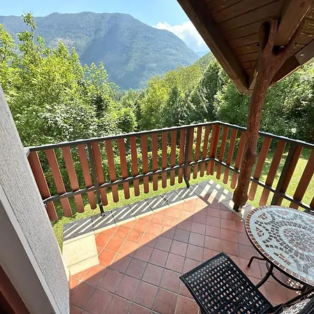 Albatros Holiday home *
