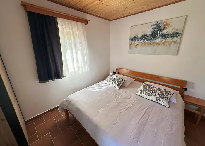 Prázdninový dům Albatros Bovec