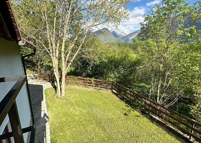 Prázdninový dům Albatros